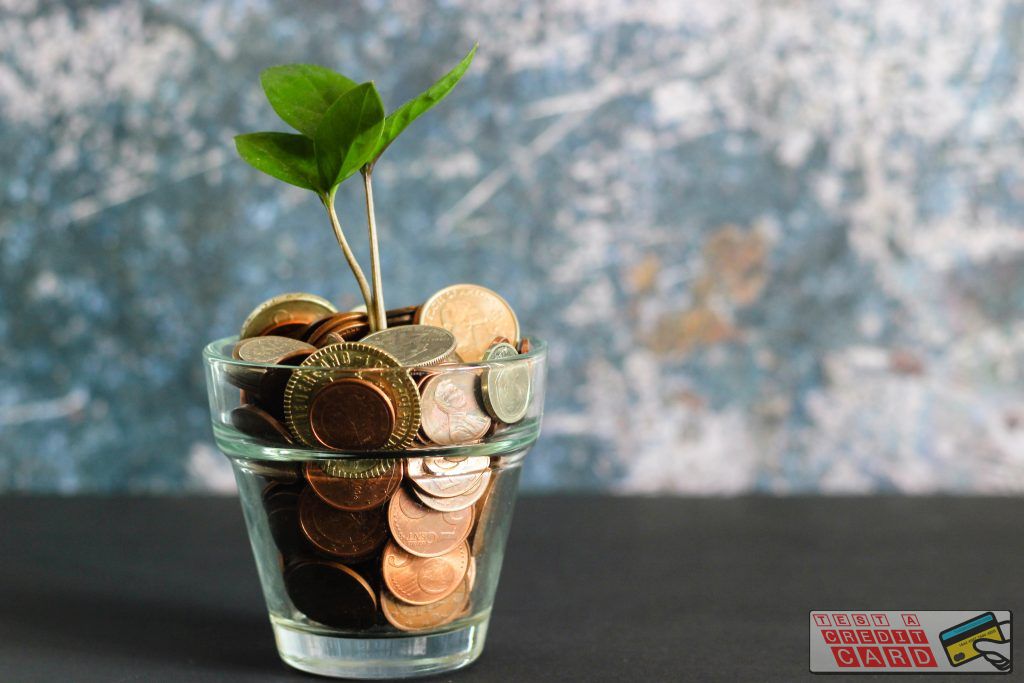 coins in a glass with a money trere